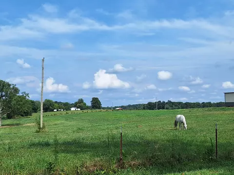 Other - 654 Revilo Rd, Leoma, TN 38468 photo 12 of 12