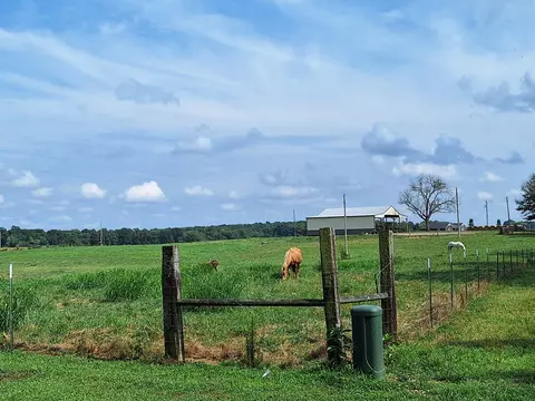 Other - 654 Revilo Rd, Leoma, TN 38468 photo 11 of 12