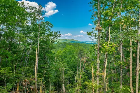 0 Clearview Dr, Ringgold, GA 30736
