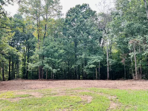0 Mayne Trce, Waverly, TN 37185