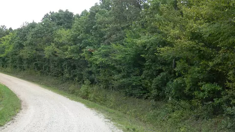 0 Old Highway 13, Hurricane Mills, TN 37078