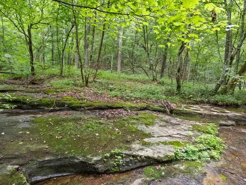 775 Coaling Rd, Charlotte, TN 37036
