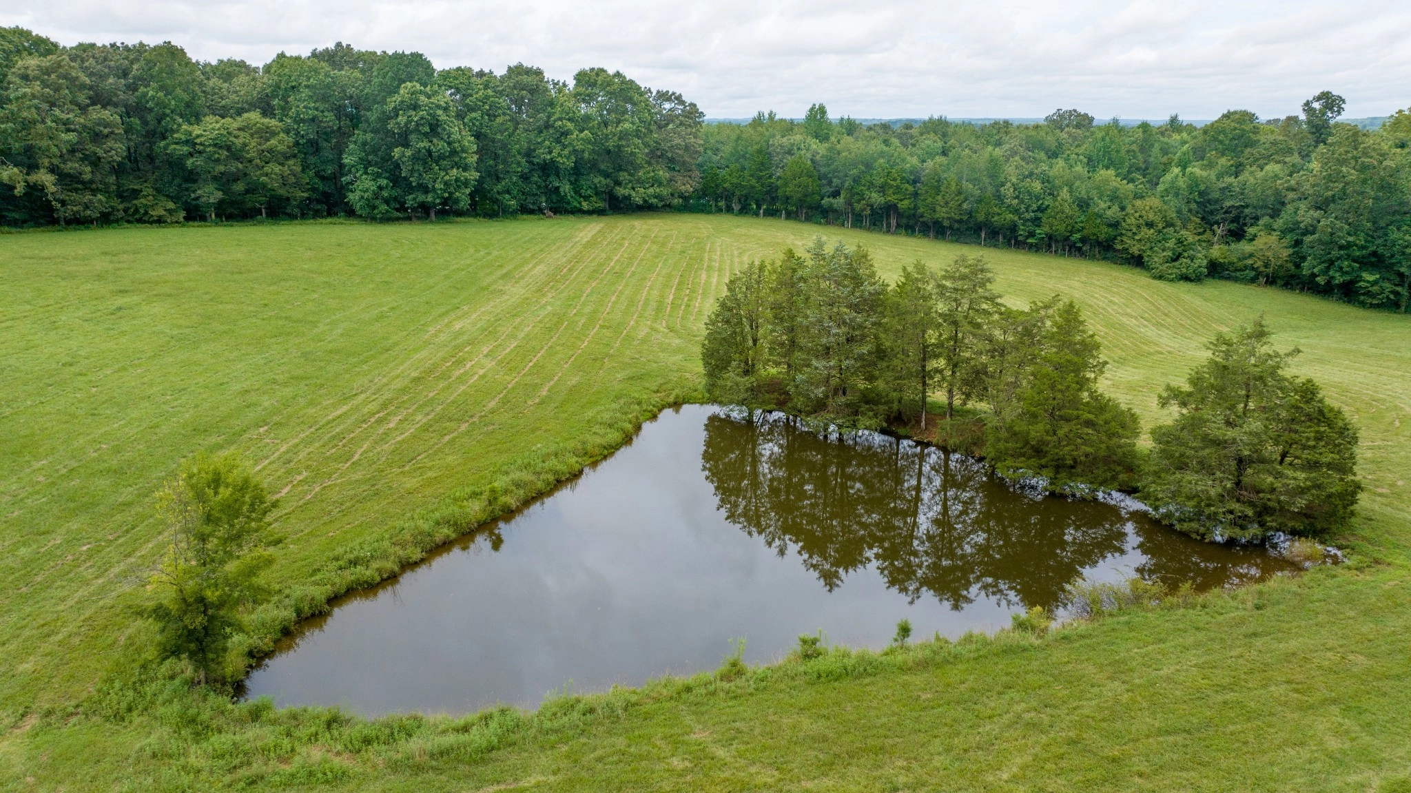 5 Myatt Loop  