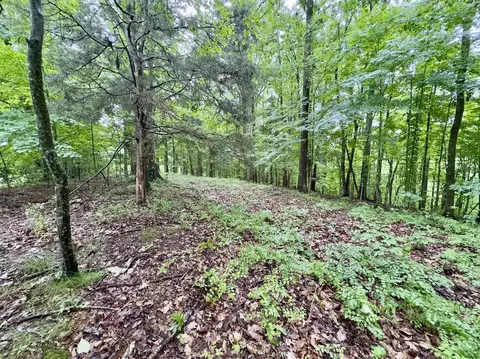 2 Conley Rd, Woodbury, TN 37190