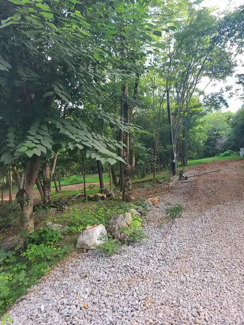 532 Spur Rd, Decherd, TN 37324 photo 5