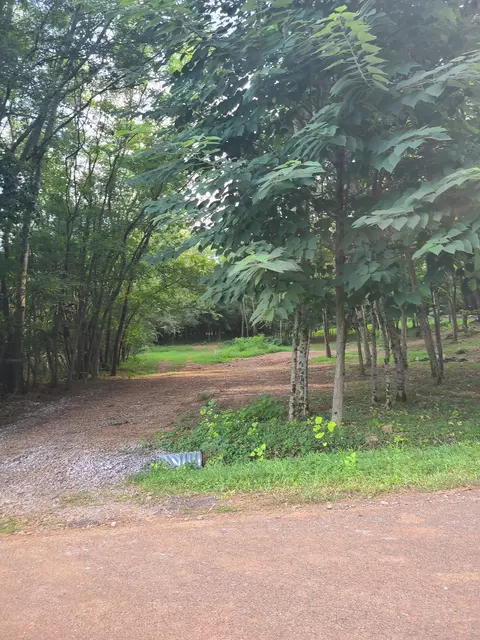 532 Spur Rd, Decherd, TN 37324 photo 4
