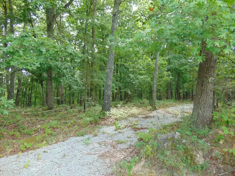 436 Walker Rd, Summertown, TN 38483