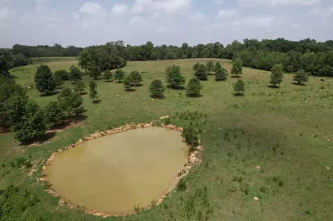 View/Area - 2 Glenhaven Ln, Goodspring, TN 38460 photo 1 of 1