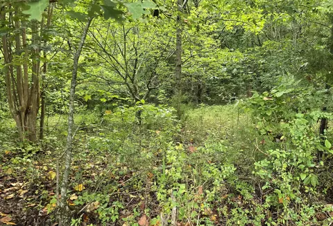 75 Chevy Ln, Sewanee, TN 37375 photo 3