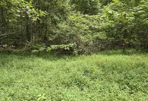 75 Chevy Ln, Sewanee, TN 37375 photo 9