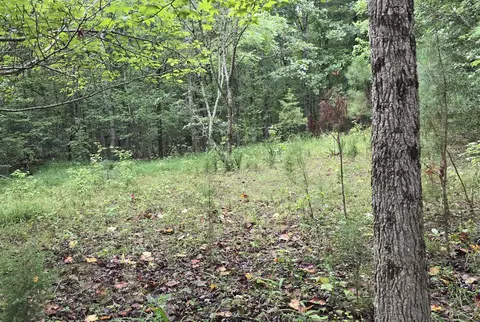 75 Chevy Ln, Sewanee, TN 37375 photo 4