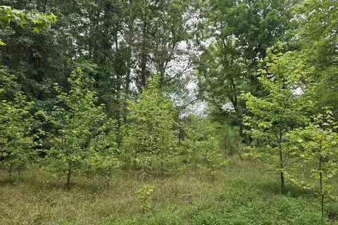 75 Chevy Ln, Sewanee, TN 37375 photo 2