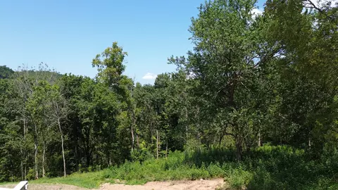 48 Harbor Ct, Silver Point, TN 38582 photo 8