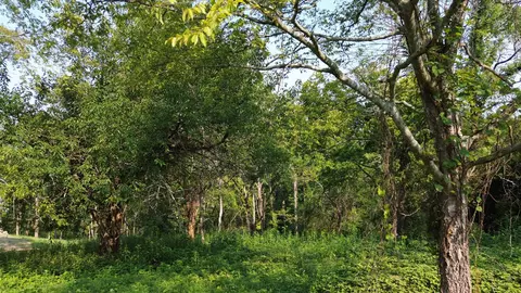 48 Harbor Ct, Silver Point, TN 38582
