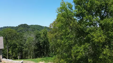 48 Harbor Ct, Silver Point, TN 38582 photo 12