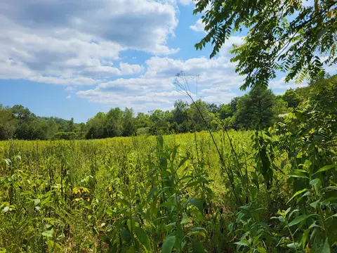 0 Taylor Crk, Nunnelly, TN 37137