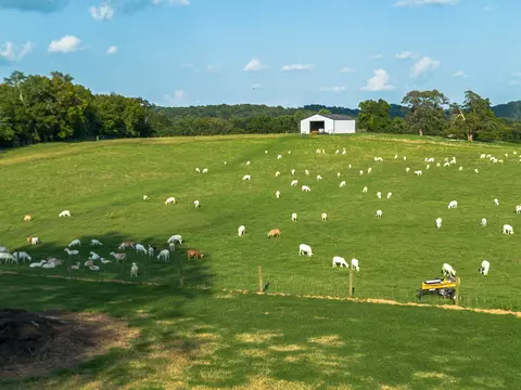 2925 Pulaski Hwy, Cornersville, TN 37047