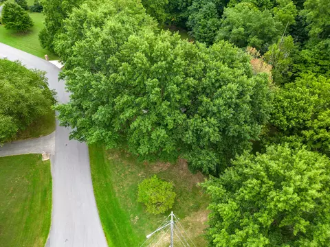 View/Area - 2000 Palmer Dr, Springfield, TN 37172 photo 5 of 8
