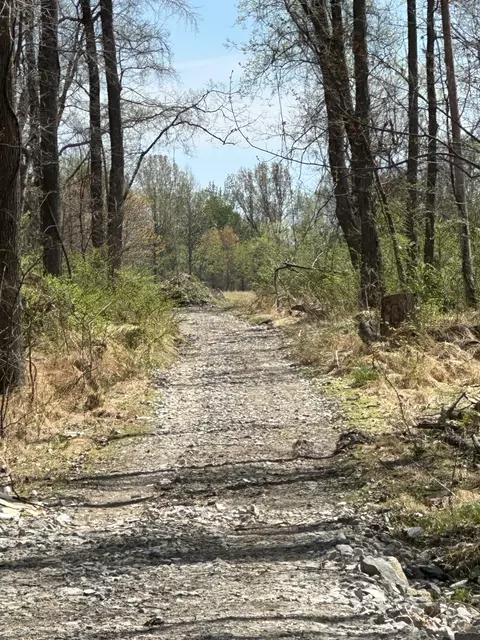 4909 Hancock Rd, Springfield, TN 37172 photo 10