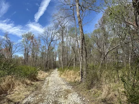 4909 Hancock Rd, Springfield, TN 37172 photo 6
