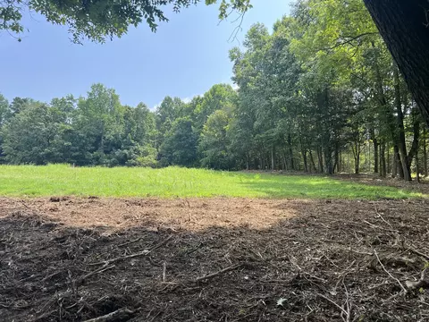 8 White Springs Rd, Lafayette, TN 37083