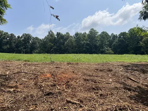7 White Springs Rd, Lafayette, TN 37083