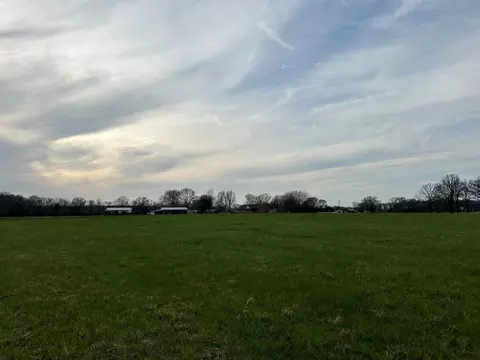 1116 Spur Rd Tract 5, Decherd, TN 37324 photo 3