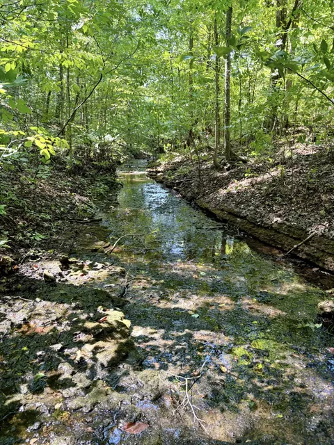 2658 Columbia Hwy, Hampshire, TN 38461