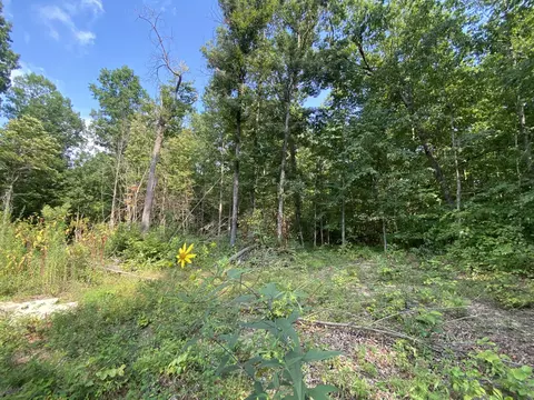 1796 Yoder Rd, Altamont, TN 37301 photo 10