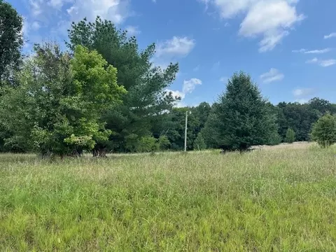 225 Running Meadows Rd, Portland, TN 37148