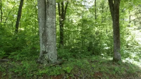 0 Walker Cove Rd, Sparta, TN 38583