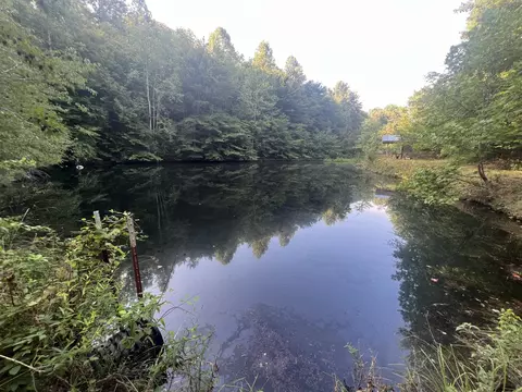 0 Williams Hollow Rd, Westpoint, TN 38486