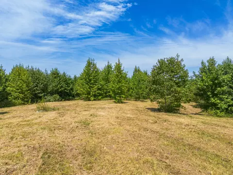 0 State Line Rd, Saint Joseph, TN 38481