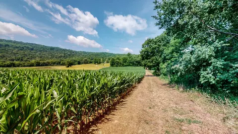 0 Oris Sain Rd, Morrison, TN 37357 photo 9