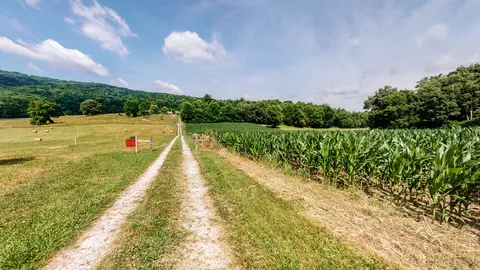 0 Oris Sain Rd, Morrison, TN 37357 photo 6