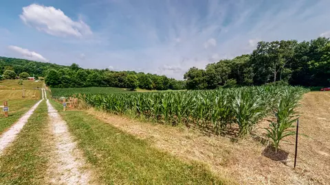 0 Oris Sain Rd, Morrison, TN 37357 photo 7