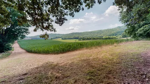 0 Oris Sain Rd, Morrison, TN 37357 photo 13