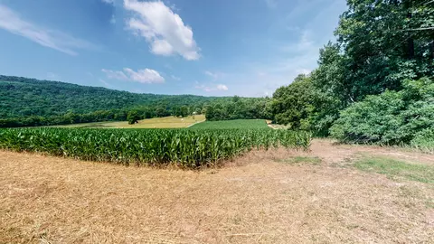 0 Oris Sain Rd, Morrison, TN 37357 photo 10