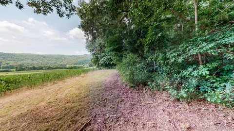 0 Oris Sain Rd, Morrison, TN 37357 photo 12