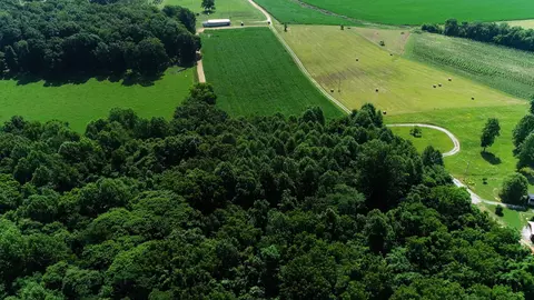 0 Oris Sain Rd, Morrison, TN 37357 photo 21