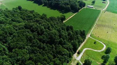 0 Oris Sain Rd, Morrison, TN 37357 photo 25