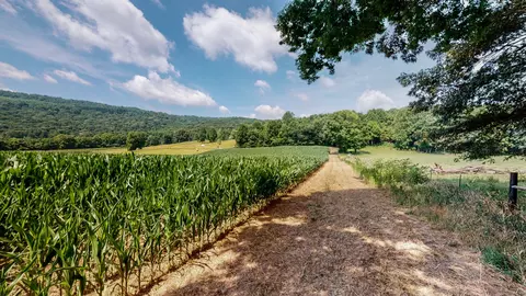 0 Oris Sain Rd, Morrison, TN 37357 photo 11
