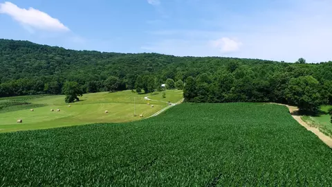 0 Oris Sain Rd, Morrison, TN 37357 photo 22
