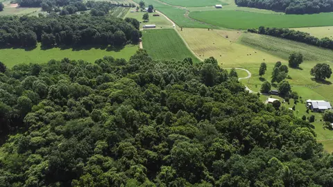 0 Oris Sain Rd, Morrison, TN 37357 photo 3
