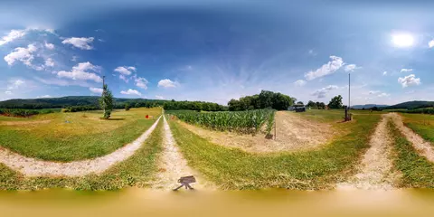0 Oris Sain Rd, Morrison, TN 37357 photo 15