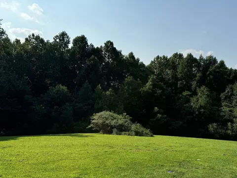 220 Union Ridge Rd, Wartrace, TN 37183