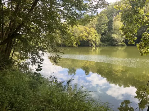 962 Blackburn Mtn Rd, Sparta, TN 38583