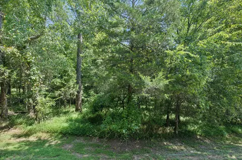 7078 Gracious Dr, Franklin, TN 37064 photo 53
