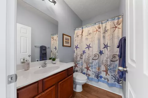 Bath - 2035 Red Jacket Trce, Spring Hill, TN 37174 photo 4 of 4