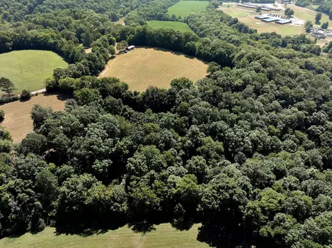 View/Area - 397 W Grinders Switch Rd, Centerville, TN 37033 photo 6 of 14